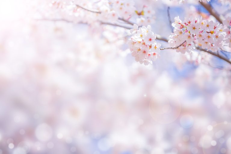 44th Hong Ning Chinese Aged Home Spring Festival